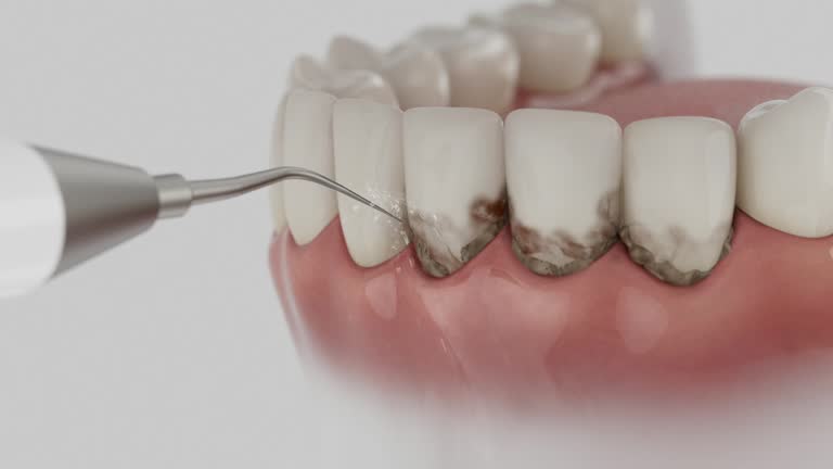 Reliable Dental contractor in Centreville, VA by Dentist Open Now
